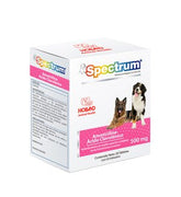 AMOXICILINA ACIDO CLAVULANICO 500MG 20 T