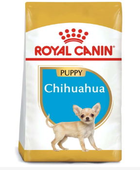 CHIHUAHUA PUPPY 1.10 KG REMATE