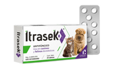 ITRASEK 100 MG CAJA C/20 TABS.