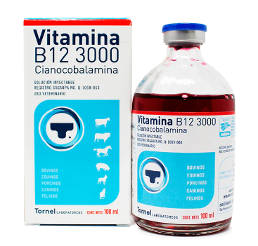 VITAMINA B12 3000 100 ML