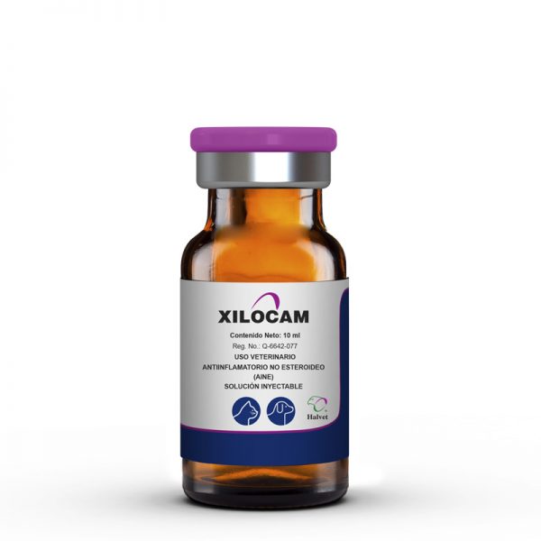 XILOCAM 50 ML.