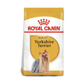 YORKSHIRE TERRIER 1.13 Kg