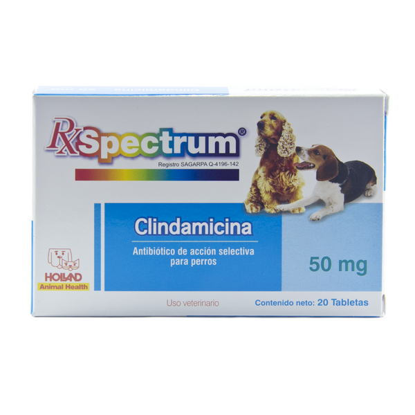 CLINDAMICINA 50 mg C/20 Tab.