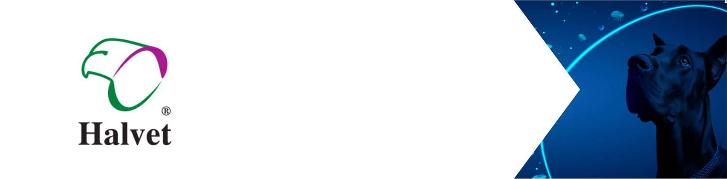 Halvet