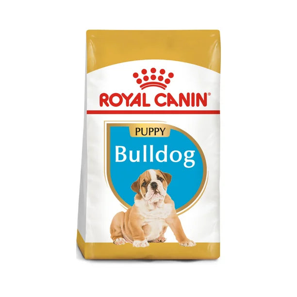 (C) BULLDOG PUPPY 13.6 KG