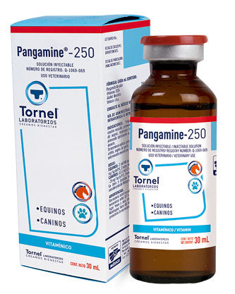 PANGAMINE 250-VITAMINA B15 10 ml