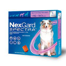 NEXGARD SPECTRA S 15.1 - 30 KG 1TAB