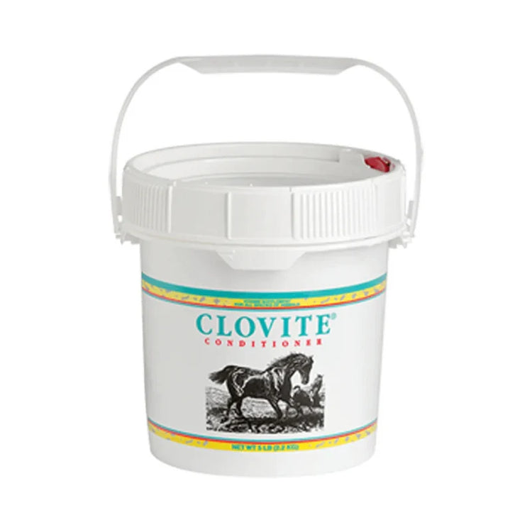 CLOVITE 1 X 5 LB