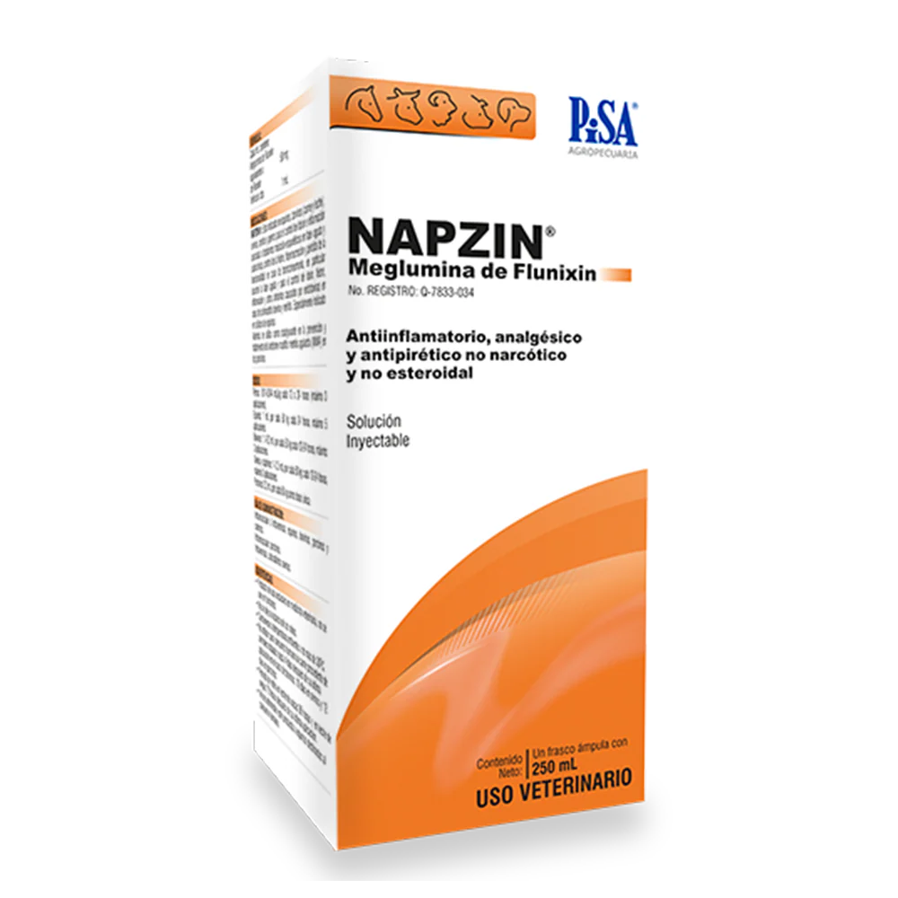 NAPZIN SOL. INY. 250 ml.