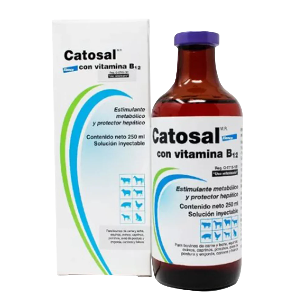 CATOSAL B12 100ml