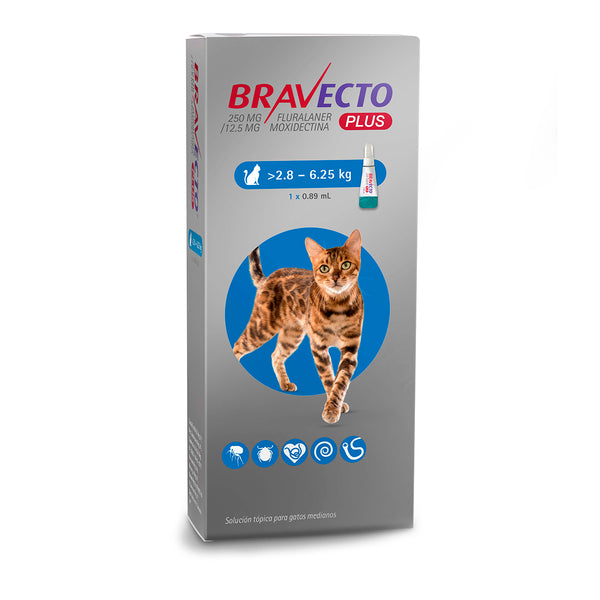BRAVECTO GATO 2.8 - 6.25 KG 1 TAB 250 MG