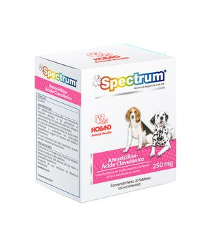 AMOXICILINA ACIDO CLAVULANICO 250MG 20 T