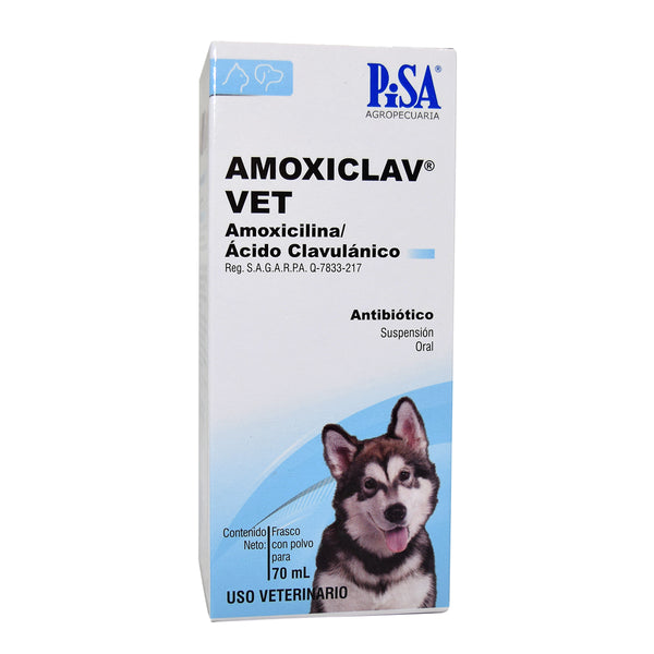 AMOXICLAV VET SUSPENSION 70ml