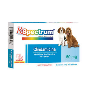 CLINDAMICINA 50 mg C/20 Tab.