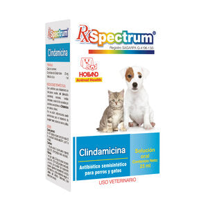 CLINDAMICINA SOLUCION ORAL 25 ML