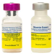 BRONCHISHIELDIII1ds. (BORDETELLA)