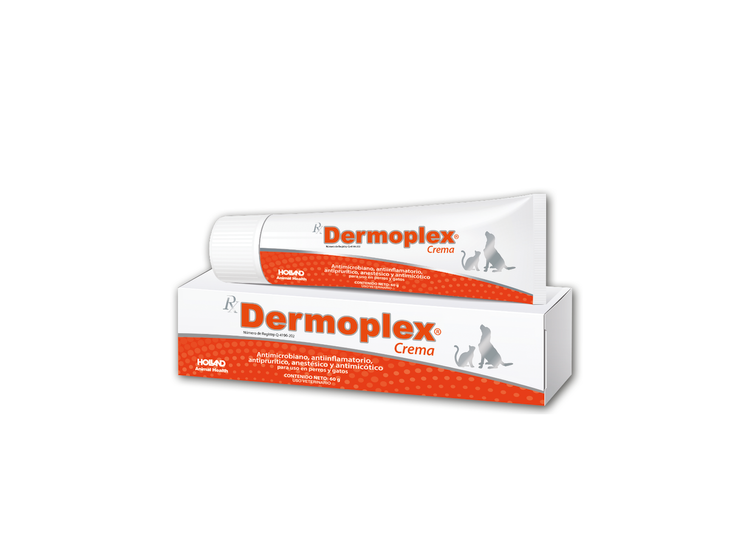 DERMOPLEX CREMA 60 GR