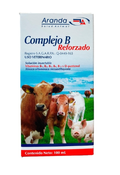 COMPLEJO B REFORZADO 100 ML