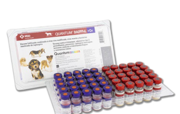 QUANTUM DOG DA2PPvL2+Cv