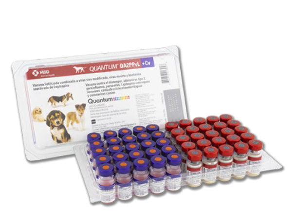 QUANTUM DOG DA2PPv+L2