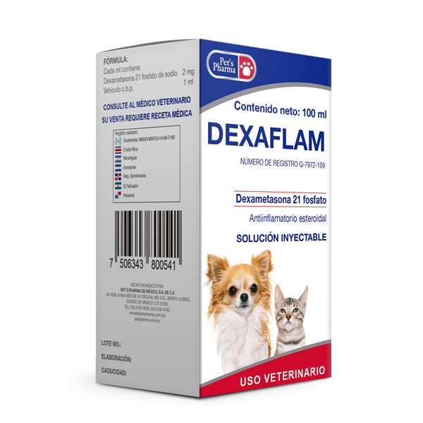 DEXAFLAM 100ML