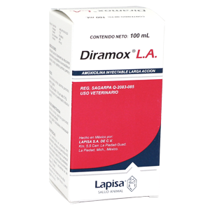 DIRAMOXL.A.100ML