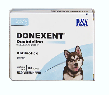 DONEXENT 100MG C/100TAB