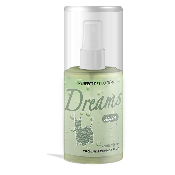 DREAMS AQUA 100 ML