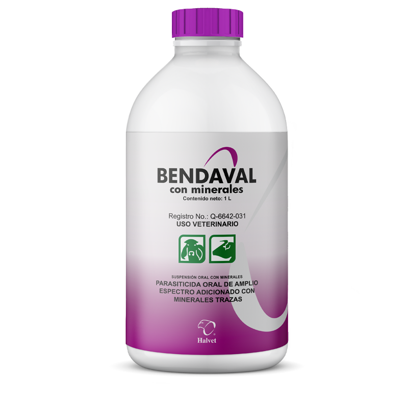 BENDAVAL C/MINERALES ORAL 100 ML.