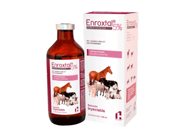 ENROXTAL SOL. INY. 5% 50 ML VET.