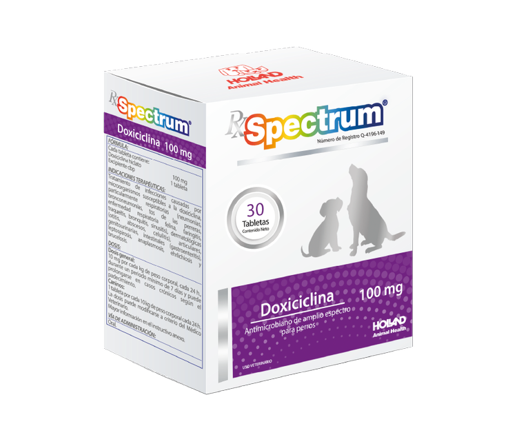 DOXICICLINA 100 MG 80 TABS