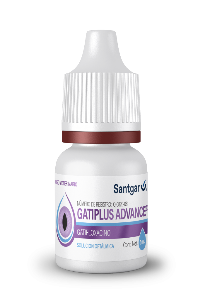 GATIPLUS ADVANCE 5 ML