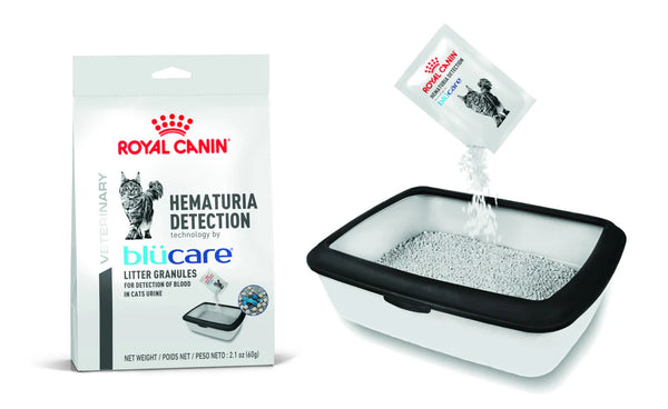 HEMATURIA BLUCARE BOX 40G