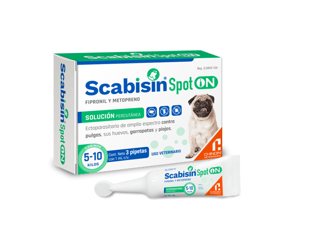 SCABISIN SPOT ON SOL 1.0 ML 5 A 10KG C/3