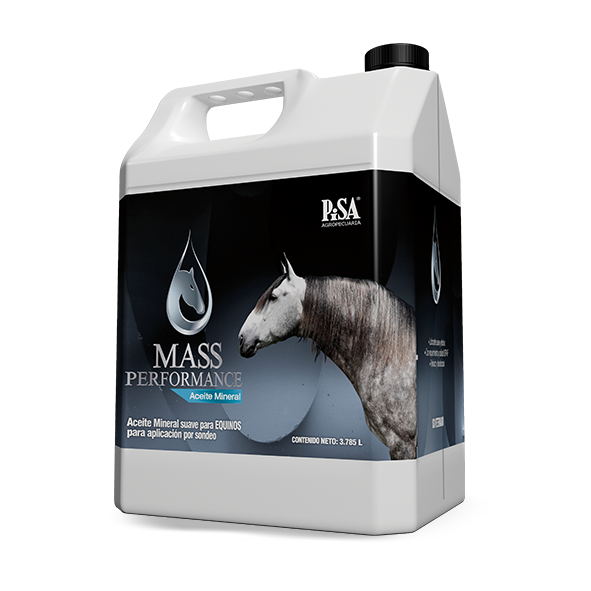 MASSPERFORMANCE EQU S. ORAL