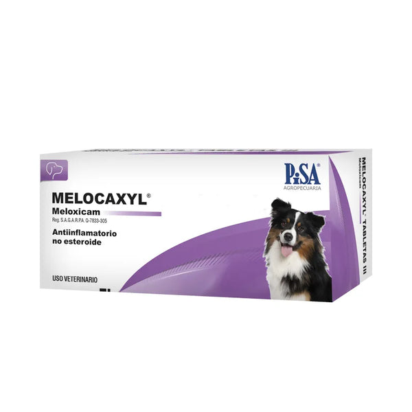 MELOCAXYL TABLETAS  1 MG C/30 TAB