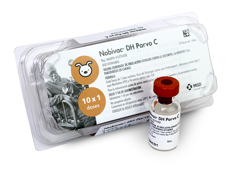NOBIVAC DH PARVO C + SOLVENTE