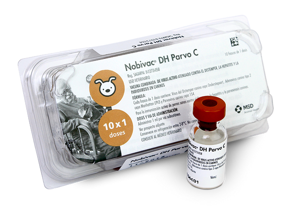 NOBIVAC DH PARVO C + SOLVENTE