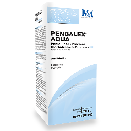 PENBALEX AQUA SUSP. INY. 250 ml.