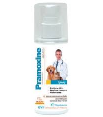 PRAMOXINE MAX SPRY 150 ML