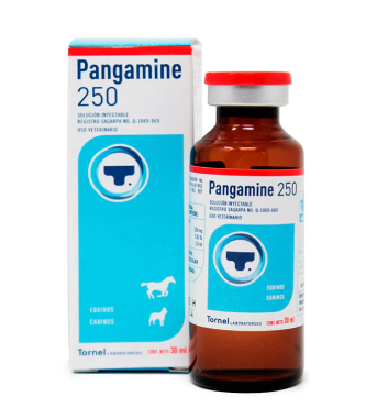 PANGAMINE 250-VITAMINA B15 10 ML