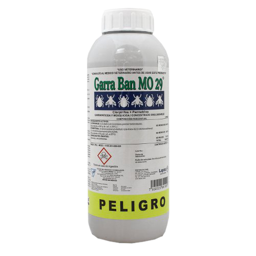 GARRABAN 1Lt.
