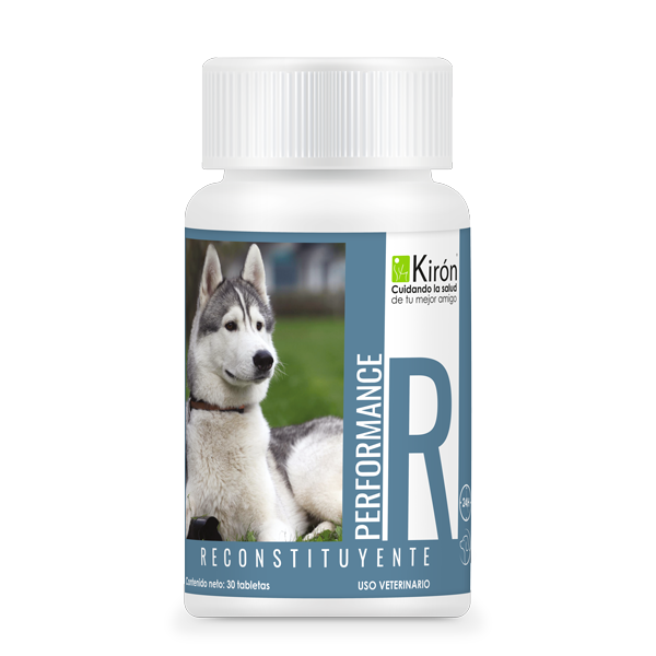 PERFORMANCE RECONSTITUYENTE 30 TABS