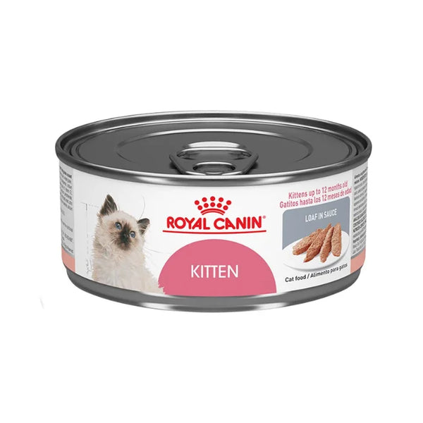 LATA KITTEN LOAF IN SAUCE 145 GR.