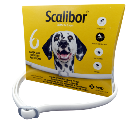 SCALIBOR