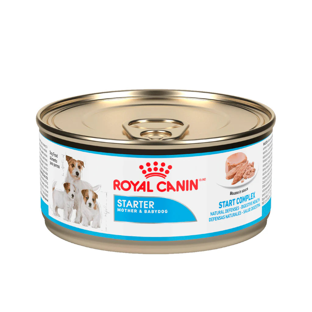 LATA STARTER MOUSSE 165 GR