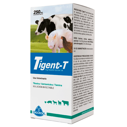 TIGENT T 100 ML