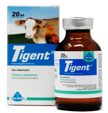 TIGENT 20 ML