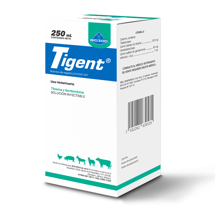 TIGENT 100 ML