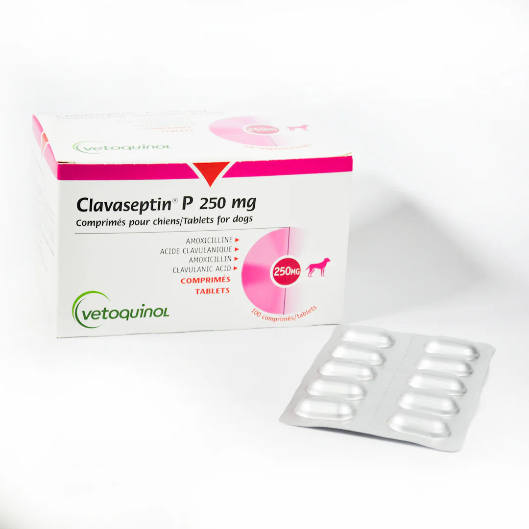 CLAVASEPTIN P 250 MG C/100 COMPRIMIDOS